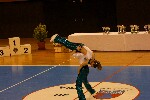 2006 04 01 acro val marne 300